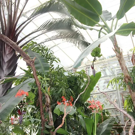 L'eure Au Soleil, Avec Balcon Et Wifi *